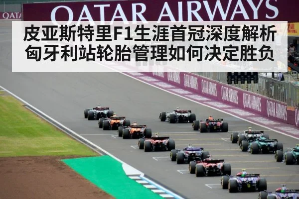 皮亚斯特里F1生涯首冠深度解析匈牙利站轮胎管理如何决定胜负
